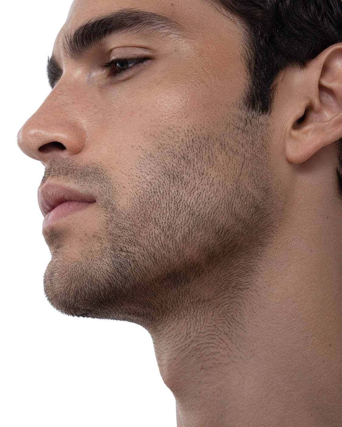Close-Up Beard Stubble Next Day